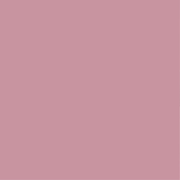 PURE&PAINT - Peinture végétale - Velouté - Flandres - 2,5L - large