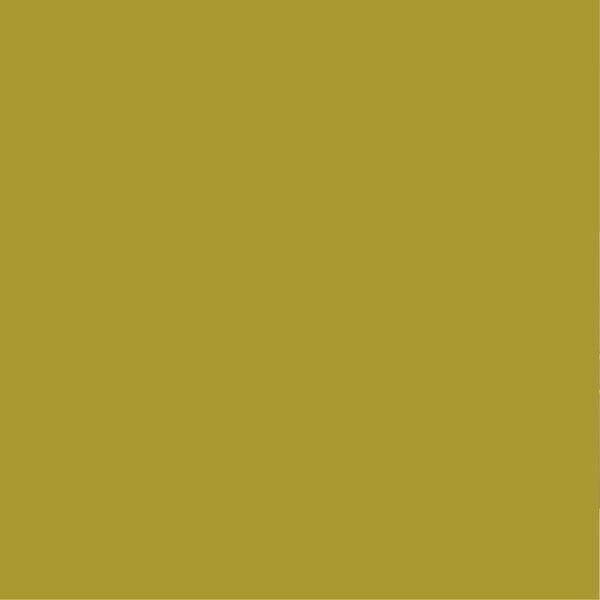 PURE&PAINT - Peinture velouté Pure & Paint - Amazonie - 0.5L - large