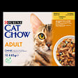 CAT CHOW - Sachets repas chat adulte - Poulet et Courgettes - 10x85g - vignette