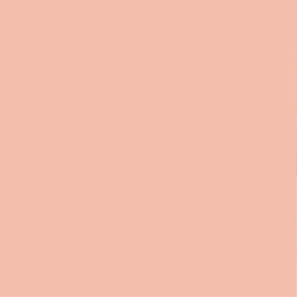 PURE&PAINT - Peinture velouté Pure & Paint - Roséus - 0.5L - large