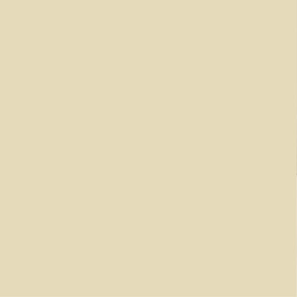 PURE&PAINT - Peinture velouté Pure & Paint - Dune - 0.5L - large