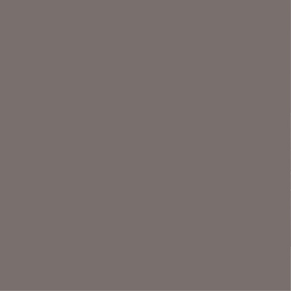 PURE&PAINT - Peinture velouté Pure & Paint - Vison - 0.5L - large
