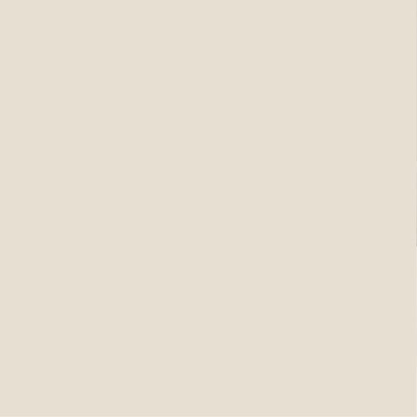 PURE&PAINT - Peinture velouté Pure & Paint - Bouleau 100mL - large