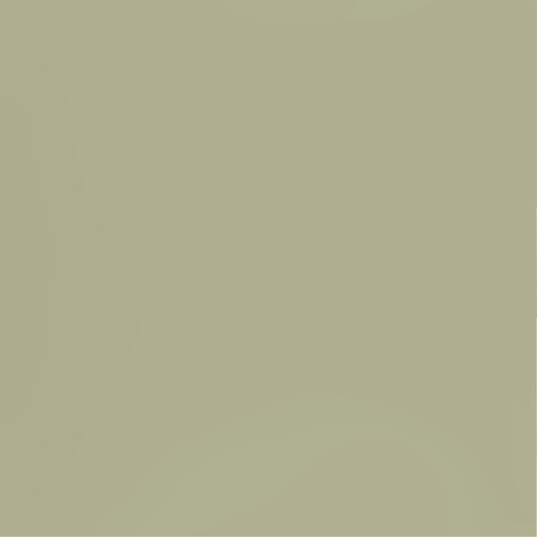 PURE&PAINT - Peinture velouté Pure & Paint - Lézard - 100ML - large