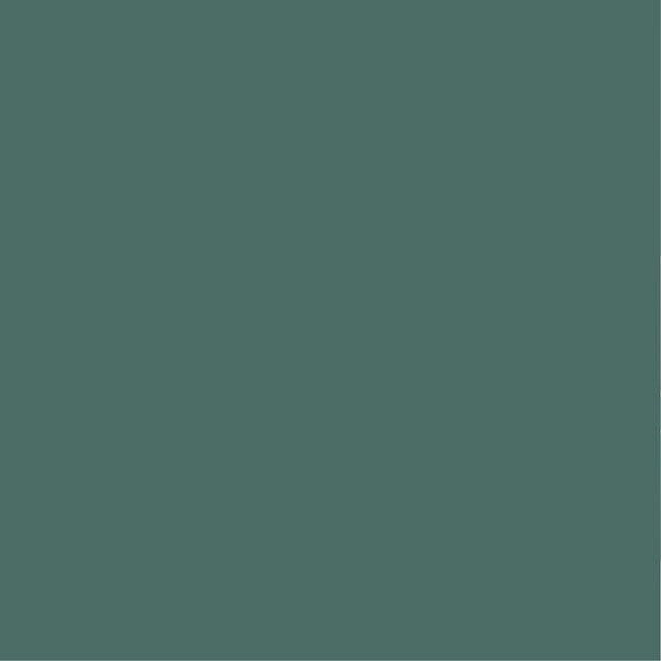 PURE&PAINT - Peinture velouté Pure & Paint - Olivier - 100ML - large