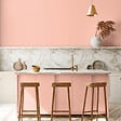 PURE&PAINT - Peinture velouté Pure & Paint - Roséus - 0.5L - vignette