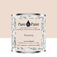 PURE&PAINT - Peinture velouté Pure & Paint - Plumetis - 0.5L - vignette