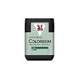 V33 PEINTURE - Peinture Colorissim satin Lichen 75 ML - vignette