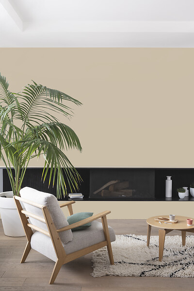 V33 PEINTURE - Peinture Colorissim satin Taupe clair 0L5 - large