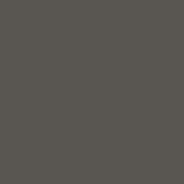 V33 PEINTURE - Peinture Colorissim satin Kaki foncé 0L5 - large