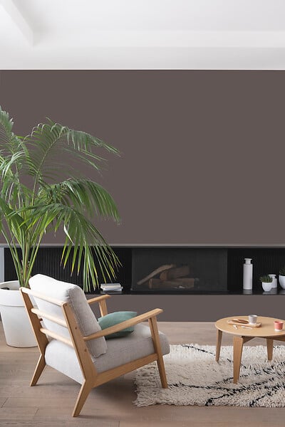 V33 PEINTURE - Peinture Colorissi mat Bois brulé 0L5 - large