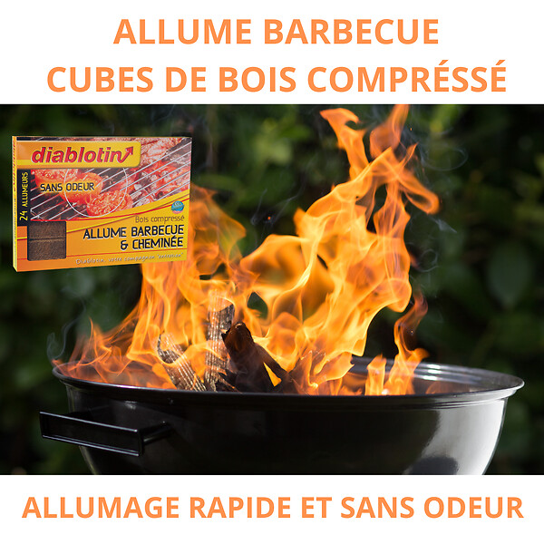 DIABLOTIN - allume barbecue cubes de bois compressé - large