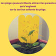 ACTO - Piege a mouches - moucherons des plantes en pot - vignette