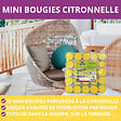 ACTO - Lot de 25 bougies parfum citronnelle - vignette