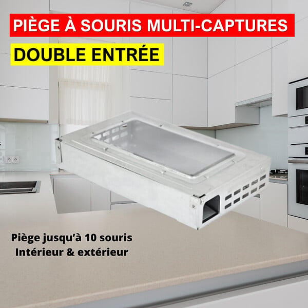 ACTO - Piège à souris multi captures - large