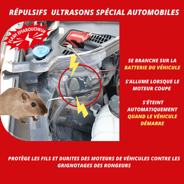 RETRO - Répulsif ultrasons rats - souris - martres spécial automobiles - large