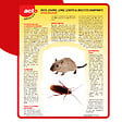 RETRO - Ultrasons et ondes magnétiques rats-souris-insectes rampants - vignette