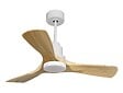 PURLINE - Ventilateur de plafond Réversible  Thermostat Dimmable Wifi Moteur à courant continu Toits en pente Télécommande Lumière à trois tons Hypersilence Mémoire - vignette