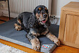 TYROL - Tyrol matelas techrefresh 80x60x3cm - vignette