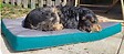 TYROL - Tyrol matelas outdoor 100x70x8cm - vignette