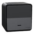 SCHNEIDER ELECTRIC - Mureva Styl-Bouton poussoir lumineux 10A-Anthracite - vignette