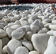 JARDINAT - Galet Blanc Pur 24/40 - 250 KG - vignette