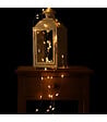FEERIC LIGHTS & CHRISTMAS - Guirlande lumineuse Intérieur 60 LED Blanc lumière fixe sur 1.20 m - vignette