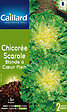 CAILLARD - Chicorée scarole blonde à coeur plein - vignette