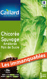 CAILLARD - Chicorée sauvage améliorée pain de sucre - vignette