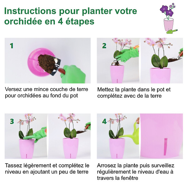 GT GARDEN - Lot de 3 pots pour orchidées avec réserve d'eau - Orchidea pourpre 2 litres - large
