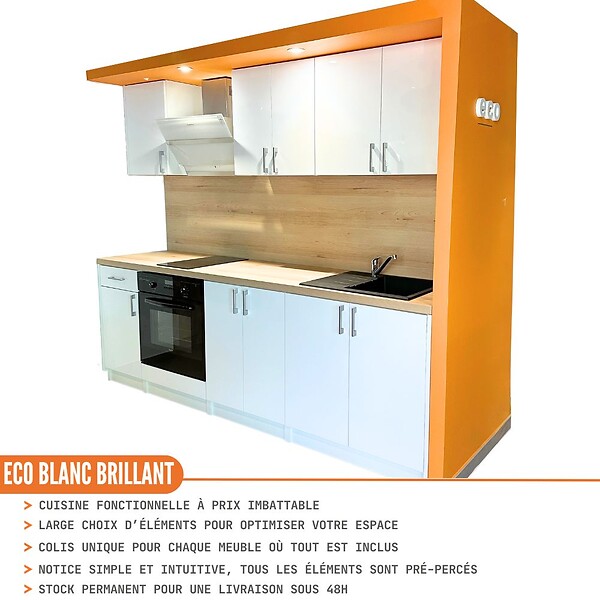 CUISINEANDCIE - Cuisineandcie - Meuble haut de cuisine Eco Blanc Brillant 2 portes L 80 cm - large
