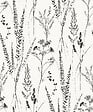 GRANDECO - P exp/int halm grass n&b - vignette