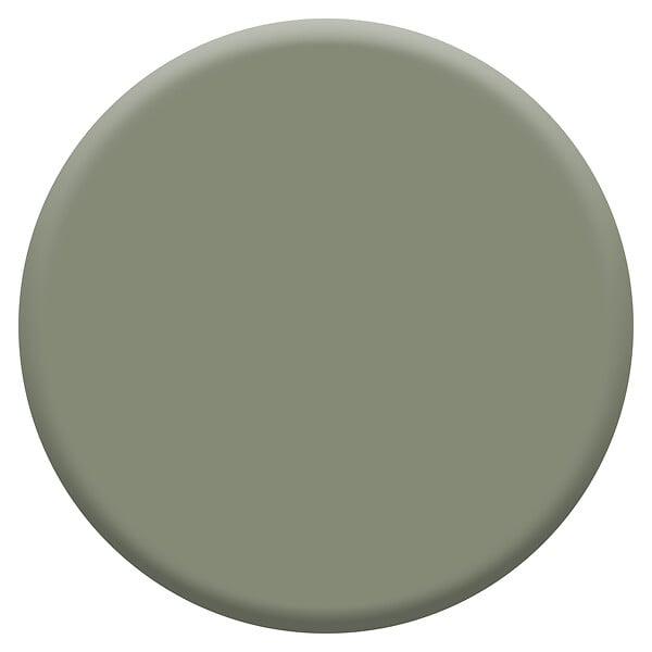 DULUX VALENTINE - Laque Acrylique Valénite Mat-Vert Taiga-0.5L - large
