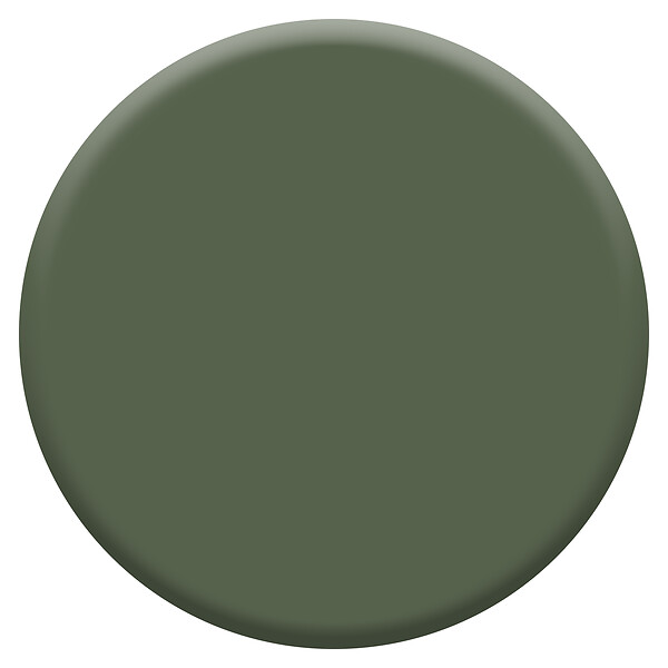 DULUX VALENTINE - Laque Acrylique Valénite Mat-Vert Tropical-0.5L - large