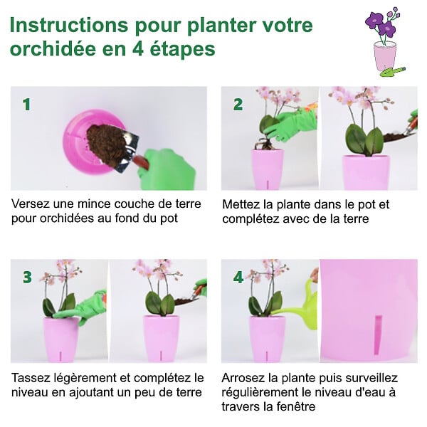 GT GARDEN - Lot de 3 pots pour orchidées avec réserve d'eau - Dali-dea ivoire 2 litres - large