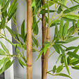 OUTSUNNY - Bambous artificiels 1,20H m - lot de 2 bambous artificiels - 369 feuilles réalistes par bambou avec vrais troncs - pot inclus noir vert - vignette