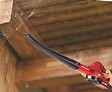 EINHELL - Souffleur sans fil GE-CL 18 Li E Solo - Sans batterie ni chargeur - vignette