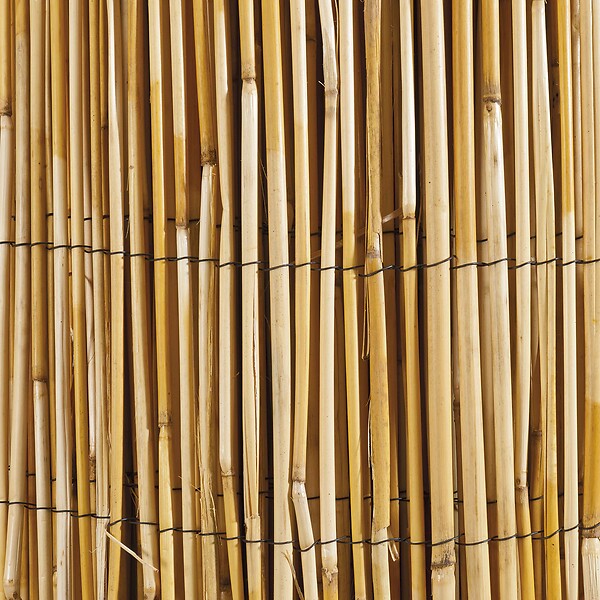 WERKAPRO - Canisse en roseau naturel  1 x 10 m - large