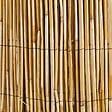 WERKAPRO - Canisse en roseau naturel  1 x 10 m - vignette