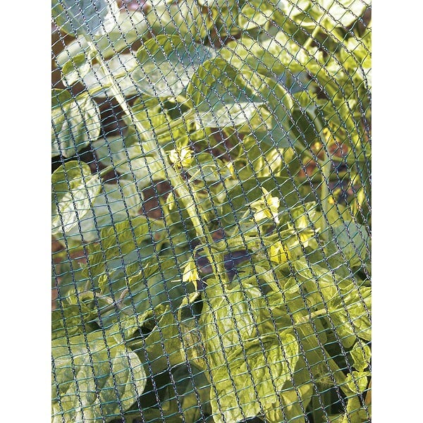 TENAX - Filet de protection 2x10m - large
