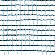 TENAX - Filet de protection 2x10m - vignette