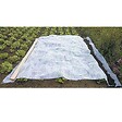 WERKAPRO - Voile d'hivernage blanc 60g-m2  1 x 25m - vignette