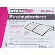 WERKAPRO - Marquise en polycarbonate 2 panneaux  80 x 300 cm - vignette