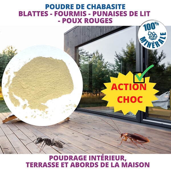 ACTO - Poudre de chabasite insectes rampants - large