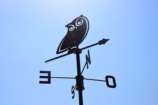 CENTRALE BRICO - Girouette Hibou - 45x72,5 cm - anthracite - large
