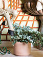 DEROMA - Cilindro Modul'O White 25cm - vignette