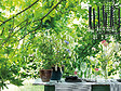 DEROMA - Pot Shadow 13,5cm - vignette