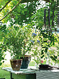 DEROMA - Pot Shadow 18,5cm - vignette