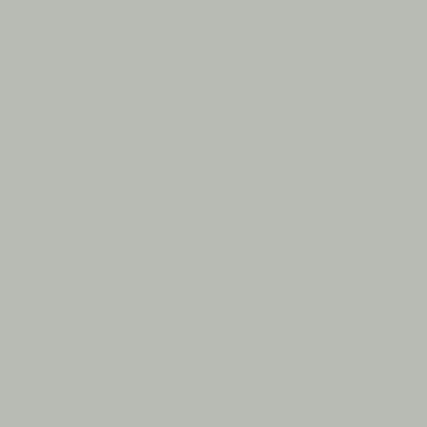NUANCE - Peinture aerosol - Argent - Chrome - 150ml - large