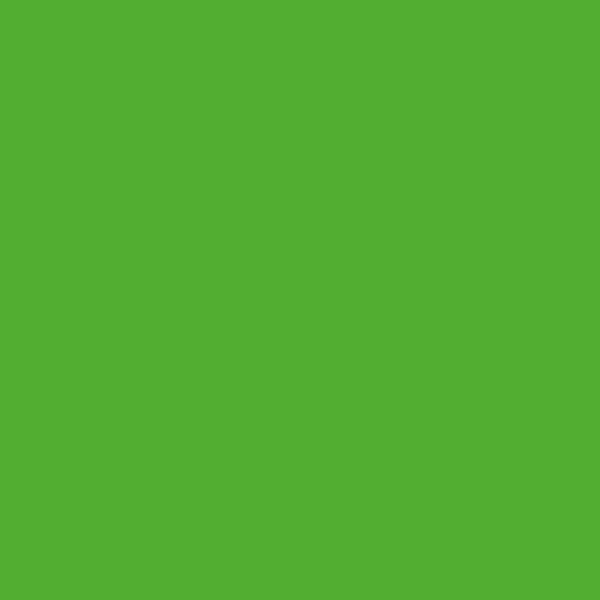 NUANCE - Peinture aerosol - Fluo vert - 400ml - large